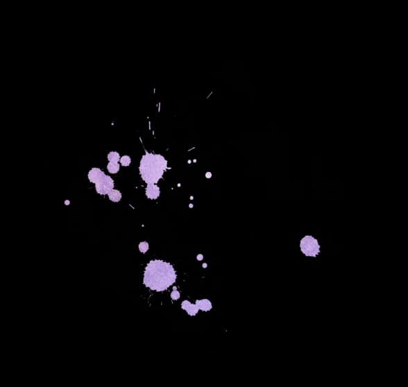 Section 1 Additional Background