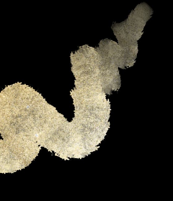 Section 1 Additional Background