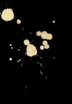 Section 1 Additional Background